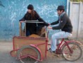 /album/fotogaleria/a263640-213815611994992-100000996636826-583764-487082-n-jpg/